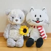 やんけん