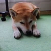 jun
