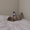報われないゴリラ
