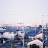 torimushikemono