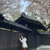 潘了了