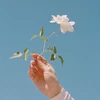 りーん