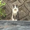 そそくさと帰る