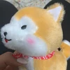 Rika