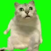 あぶりとろさー