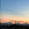 つなコーン