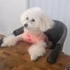 む