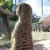 輝酉真波