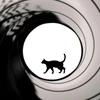 ねこ