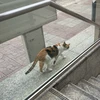 あ