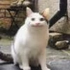 らいおん