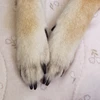 ゆあん