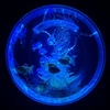 みたらし団子