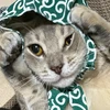 ぐるぐるぐるぐる