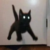 てでぃ
