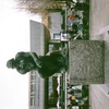 kose_dayo