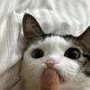 jjlloove