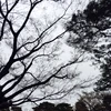 りく