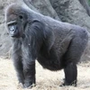 山田たろう