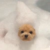 はちみつ