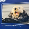 あお