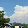 しゅがー
