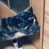 親知らず