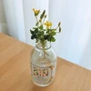 望月サラザビアロフ