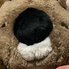 しお