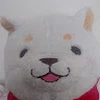 こひな