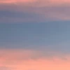 さと