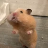 くーちゅーん