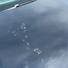 たくみ