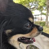 澄千代