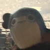 にゃむら