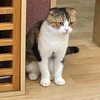 りょうすけ
