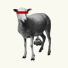 sheep_vii
