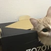 ong