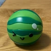 スイカの子