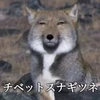 sorato-happy06