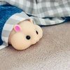 み