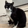 パチパチ