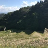 SOUSI