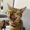 ひろ