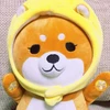 tomokuninasan