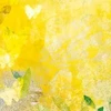 しいたけ