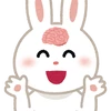 Brainrabbit