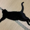 TYSMです