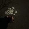 May
