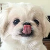 リ